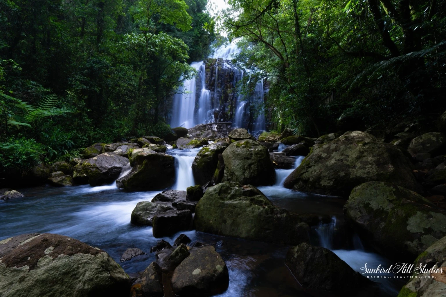 Mungalli Falls cascading through rainforest and moss-covered rocks