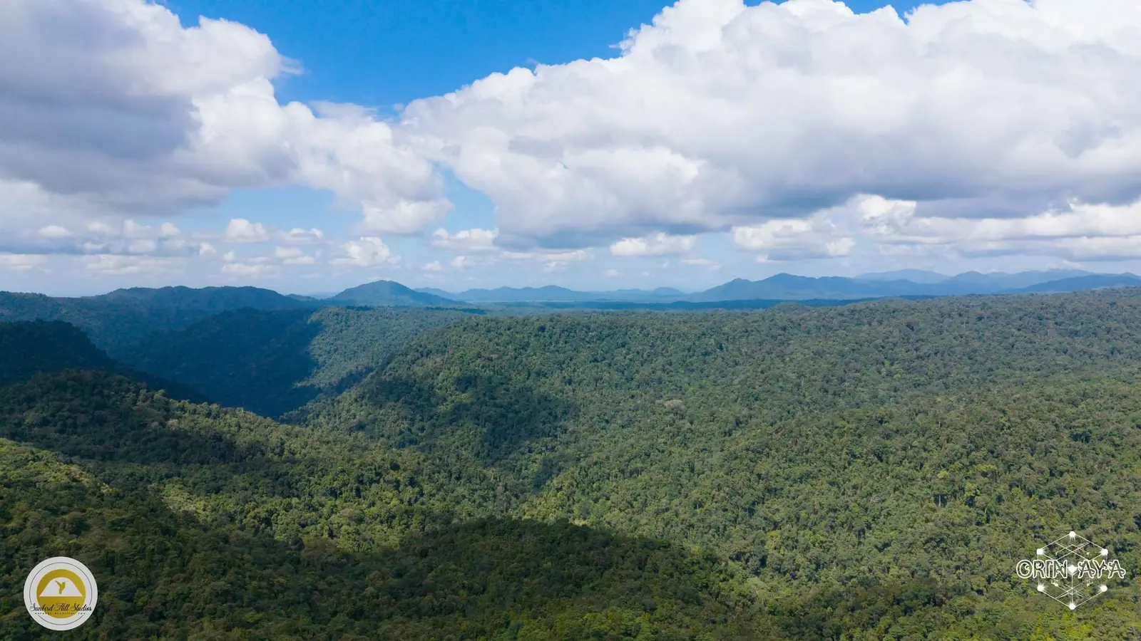 View over the Atherton Tablelands rainforest